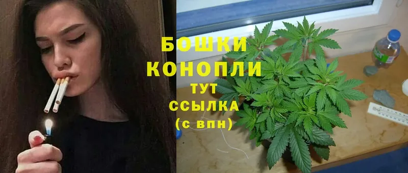 где найти наркотики  Гай  мориарти формула  Канабис Ganja 